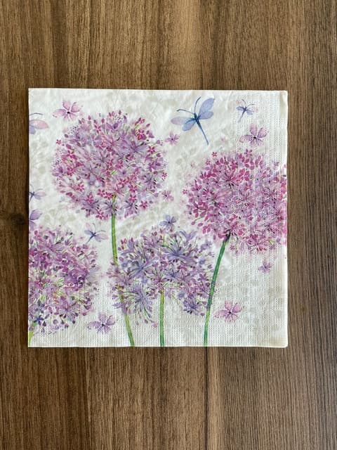 Alliums e Libélulas