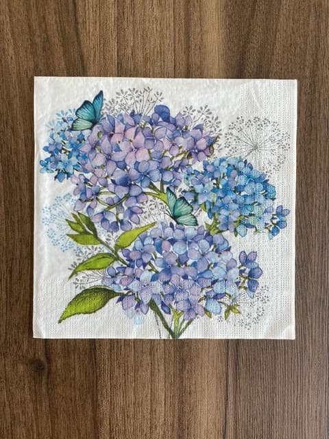 Hortênsias e Borboletas